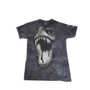 Vintage The Mountain T Rex Dinosaur Graphic T Shirt Medium Jurassic Style Tee